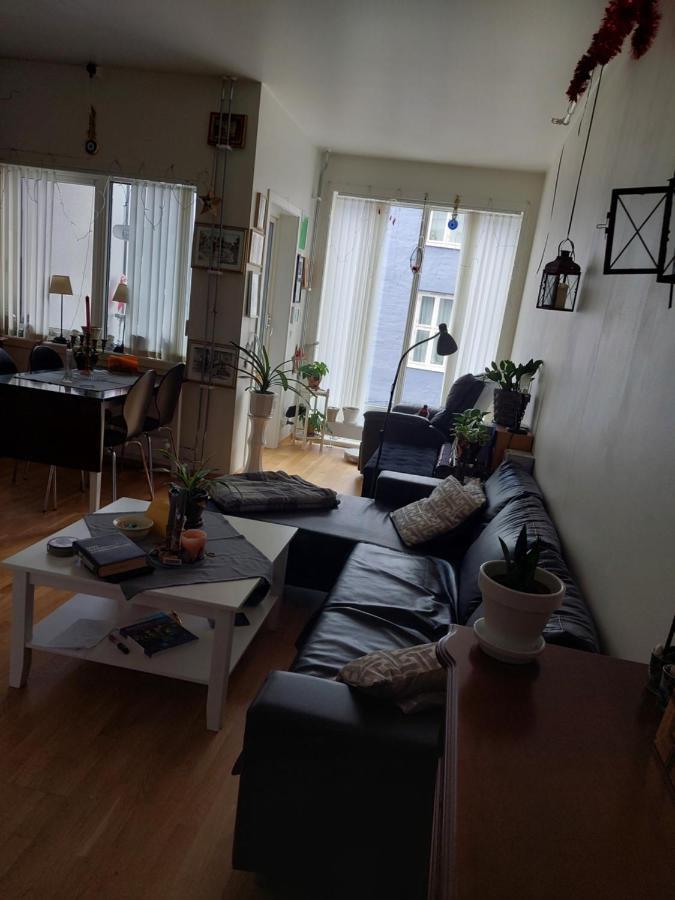Shared Apartment, Down Town Oslo, Osterhaus'Gate 10 Ngoại thất bức ảnh